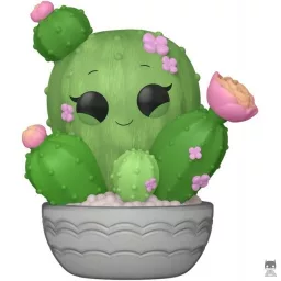 Plantes